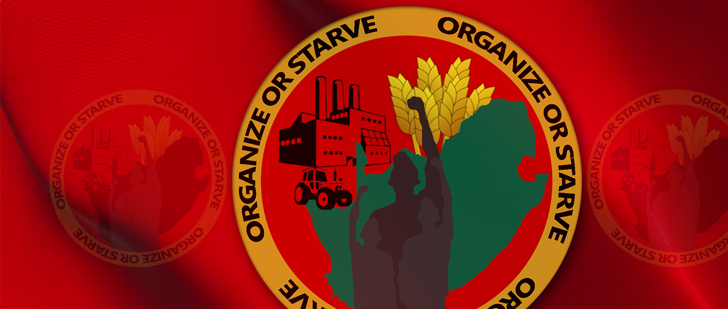 Recruitment news: AFADWU has successfully recruited about 600 members in Mpumalanga Daybreak Farms.